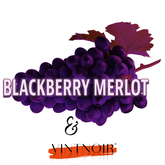 Blackberry Merlot x VINTNOIR Wine Bundle